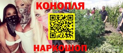 прущая мука Тверь