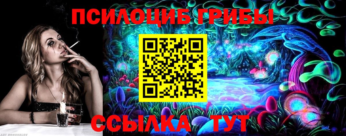 Галлюциногенные грибы MAGIC MUSHROOMS  Вход с VPN  Осинники 