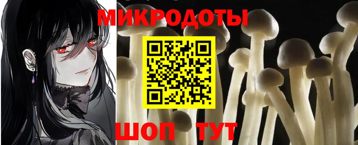 Псилоцибиновые грибы мицелий Осинники